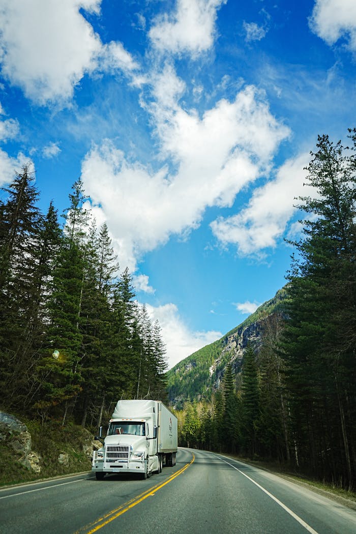 White delivery truck drives on a mountain road under a clear blue sky, surrounded by tall trees.
